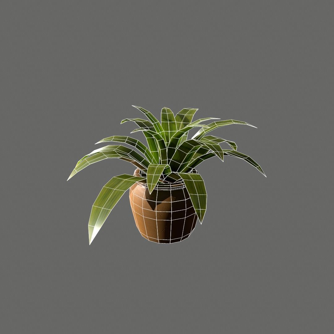 Pot Plant Free low-poly 3D model_11