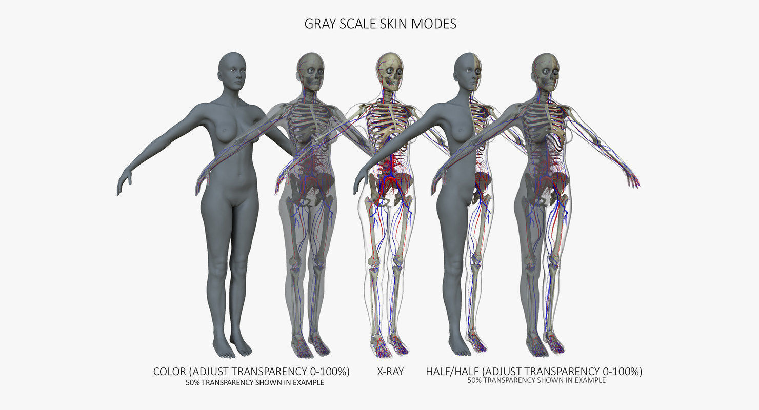 Motion Capture Female Anatomy Low-poly 3D model_6