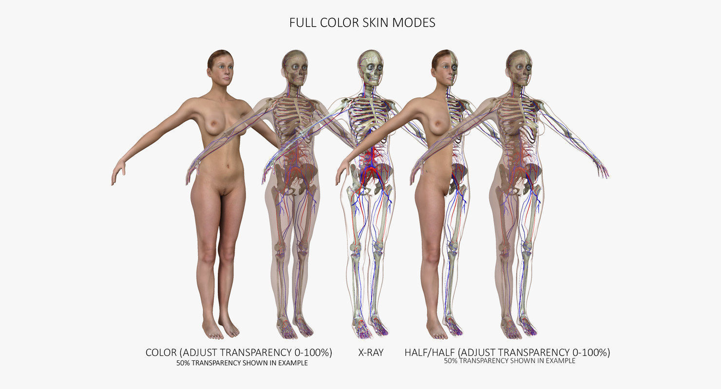 Motion Capture Female Anatomy Low-poly 3D model_5