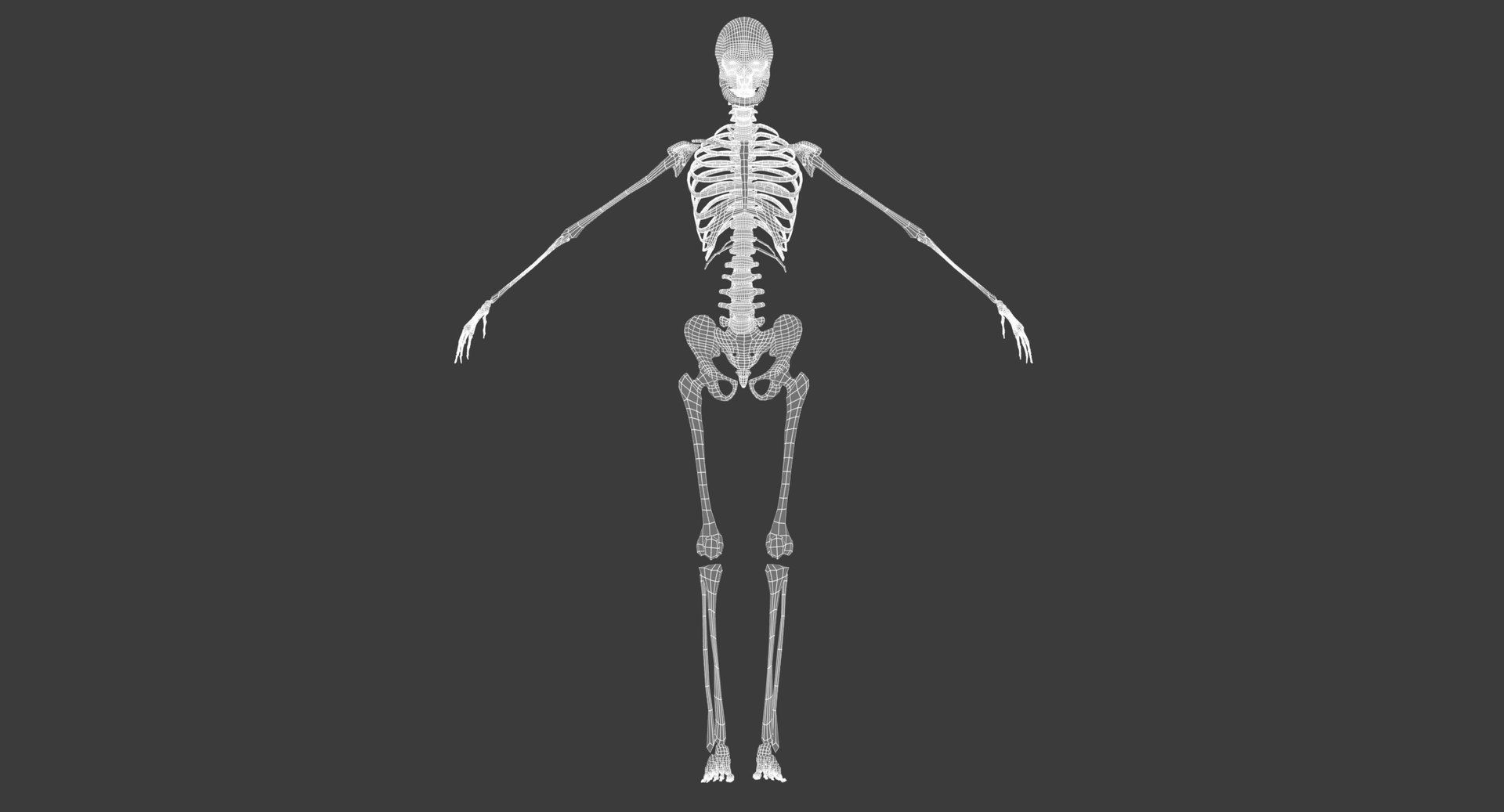Motion Capture Female Anatomy Low-poly 3D model_15