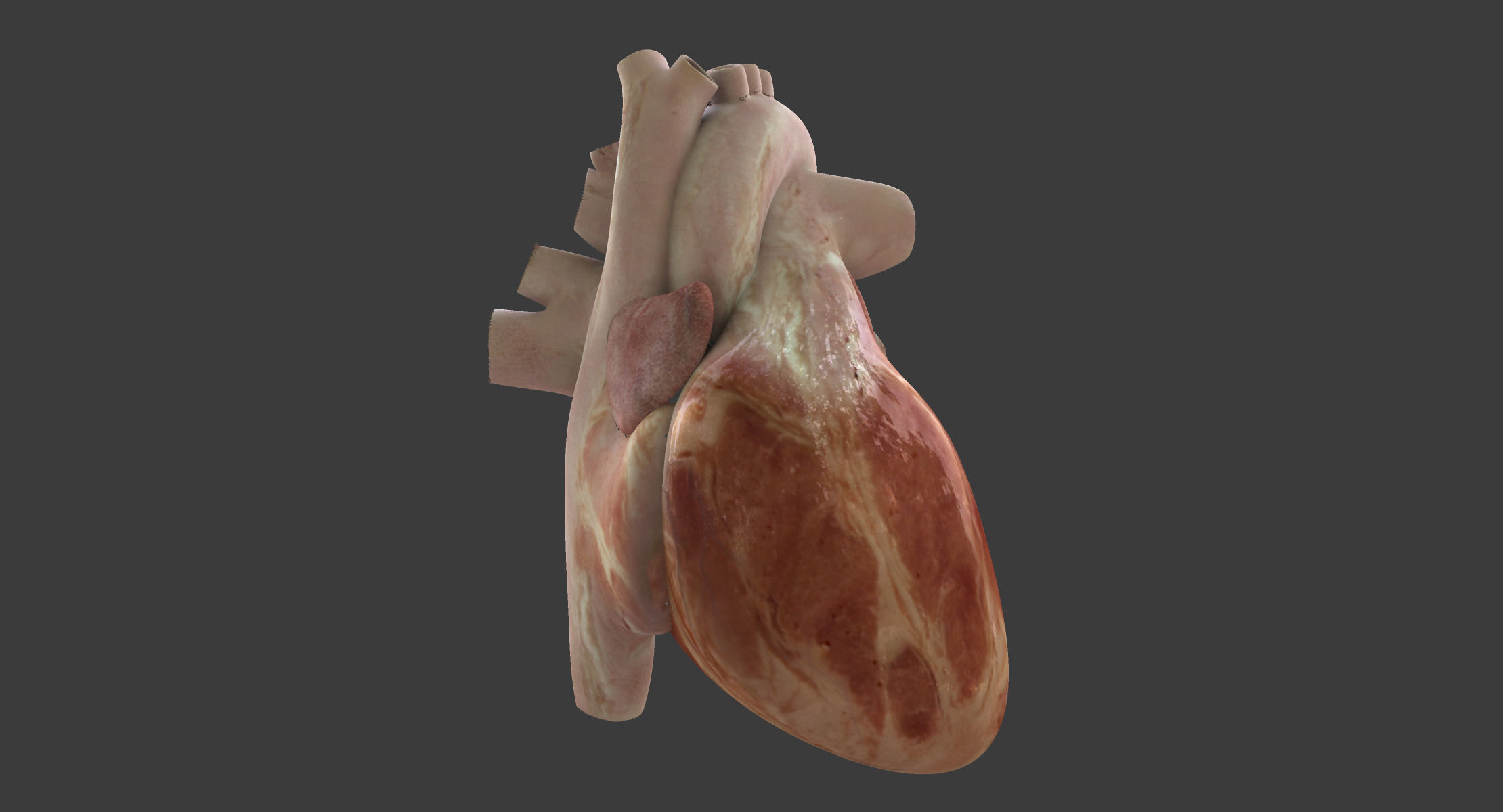 Motion Capture Female Anatomy Low-poly 3D model_11