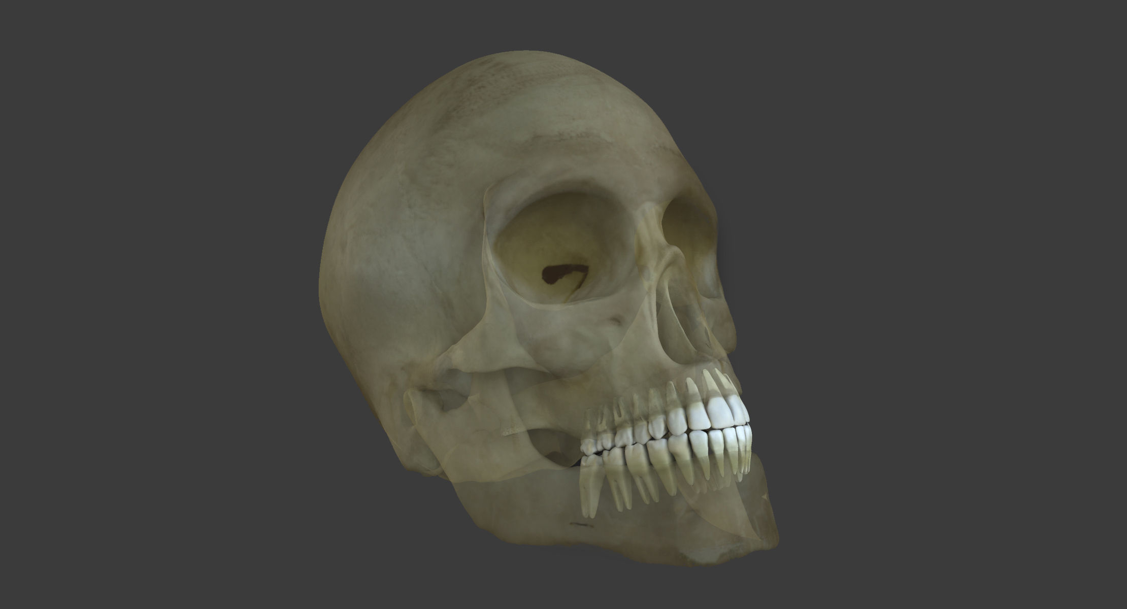 Motion Capture Female Anatomy Low-poly 3D model_13