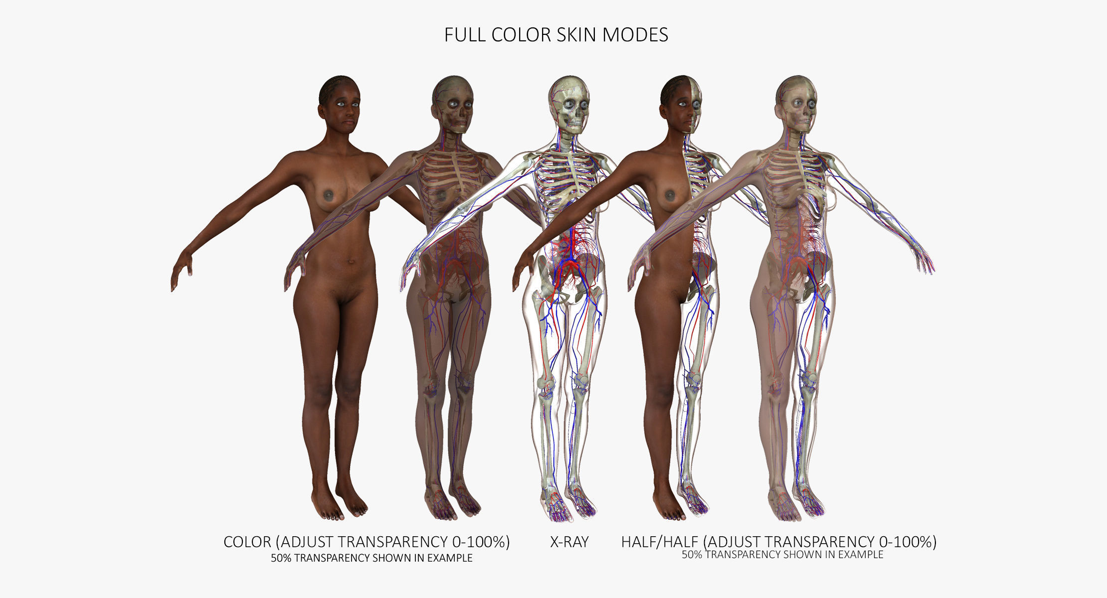 Motion Capture Female Anatomy Low-poly 3D model_4