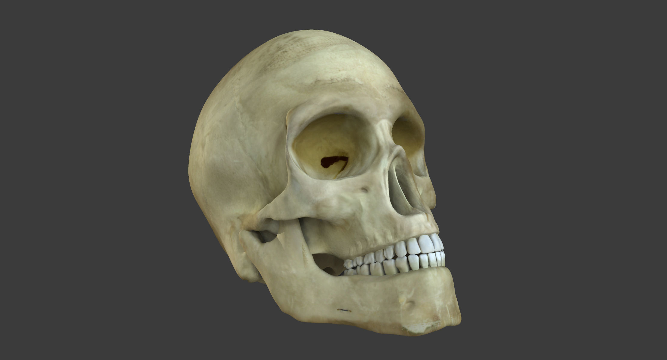 Motion Capture Female Anatomy Low-poly 3D model_12