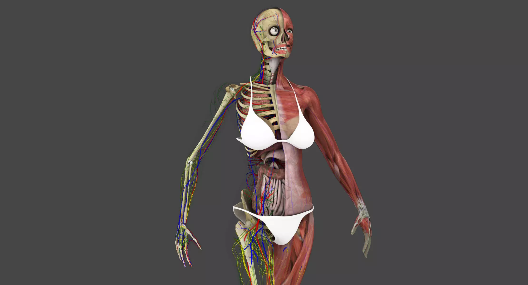 Motion Capture Female Anatomy Low-poly 3D model_0