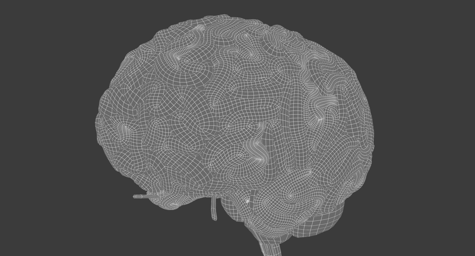 Motion Capture Female Anatomy Low-poly 3D model_24