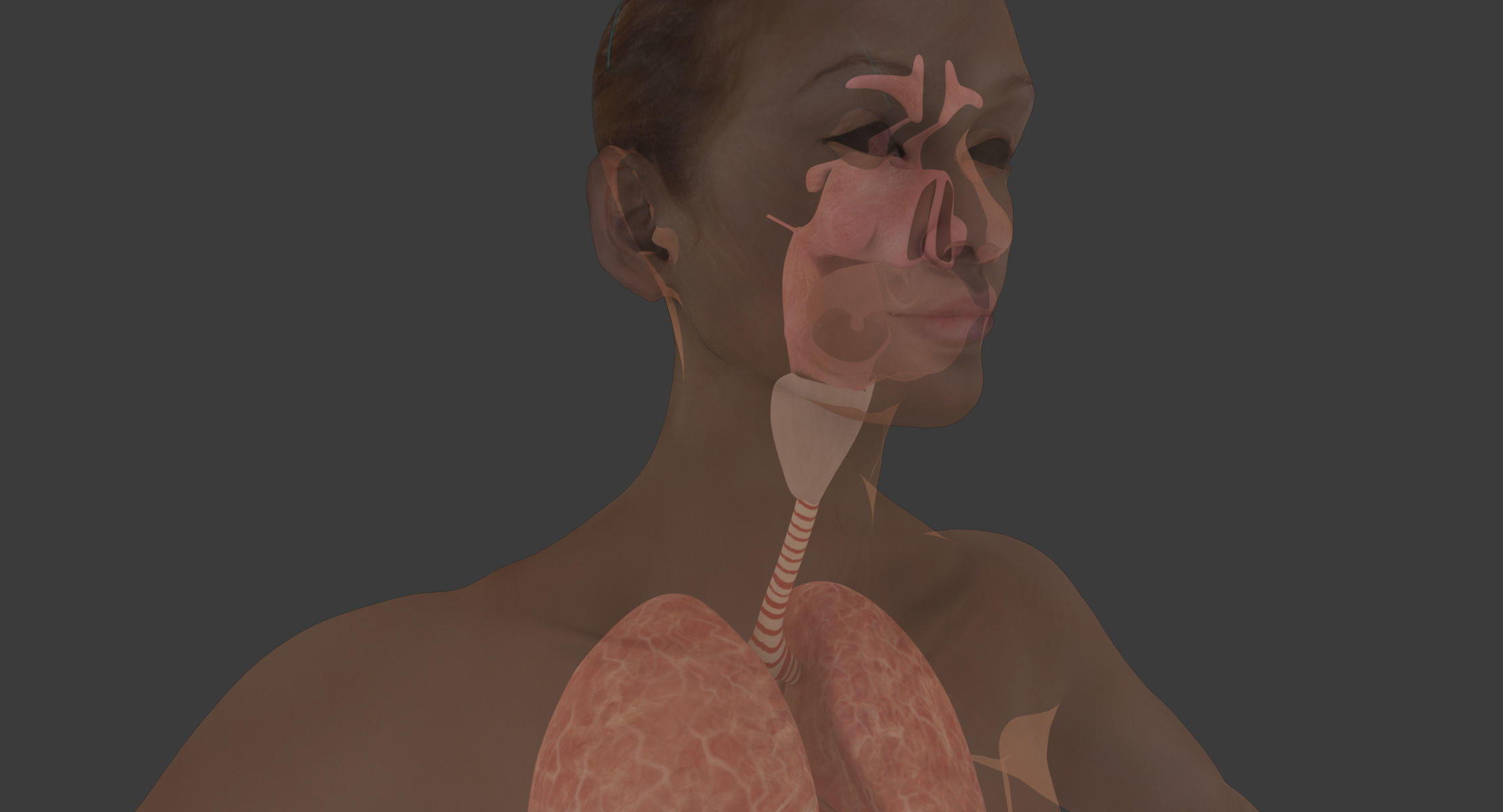 Motion Capture Female Anatomy Low-poly 3D model_7