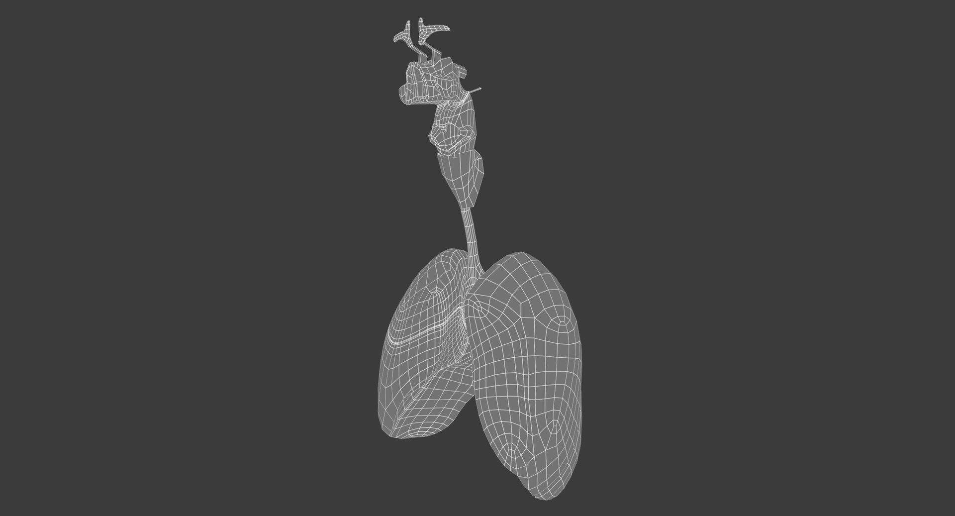 Motion Capture Female Anatomy Low-poly 3D model_19