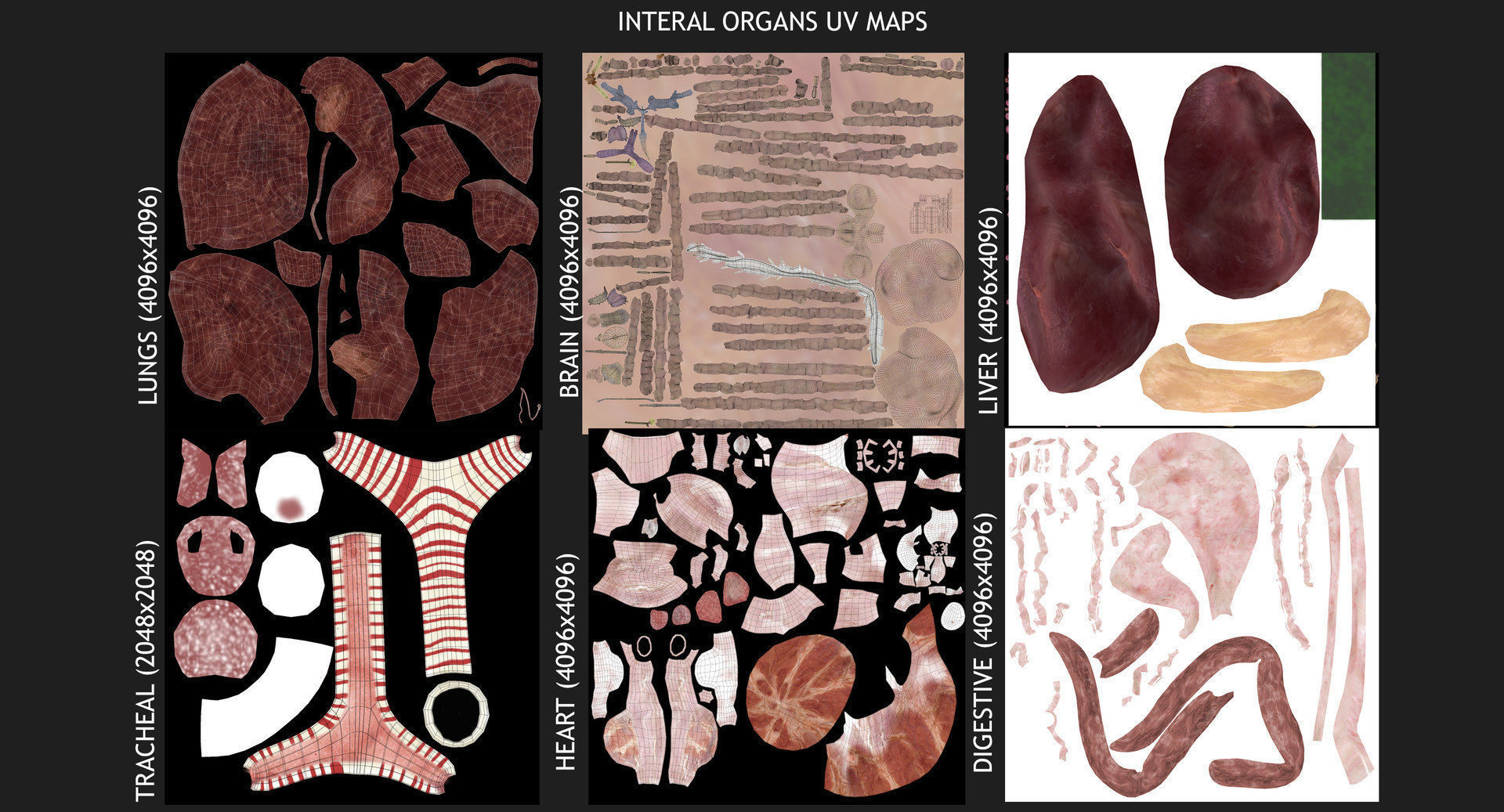 Motion Capture Female Anatomy Low-poly 3D model_27