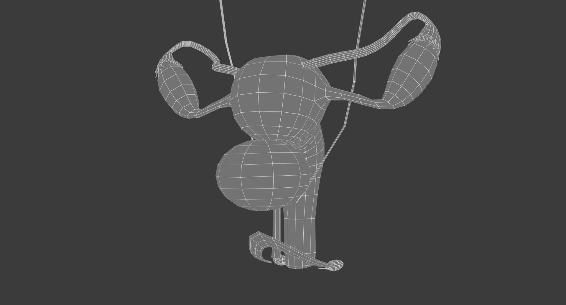 Motion Capture Female Anatomy Low-poly 3D model_21