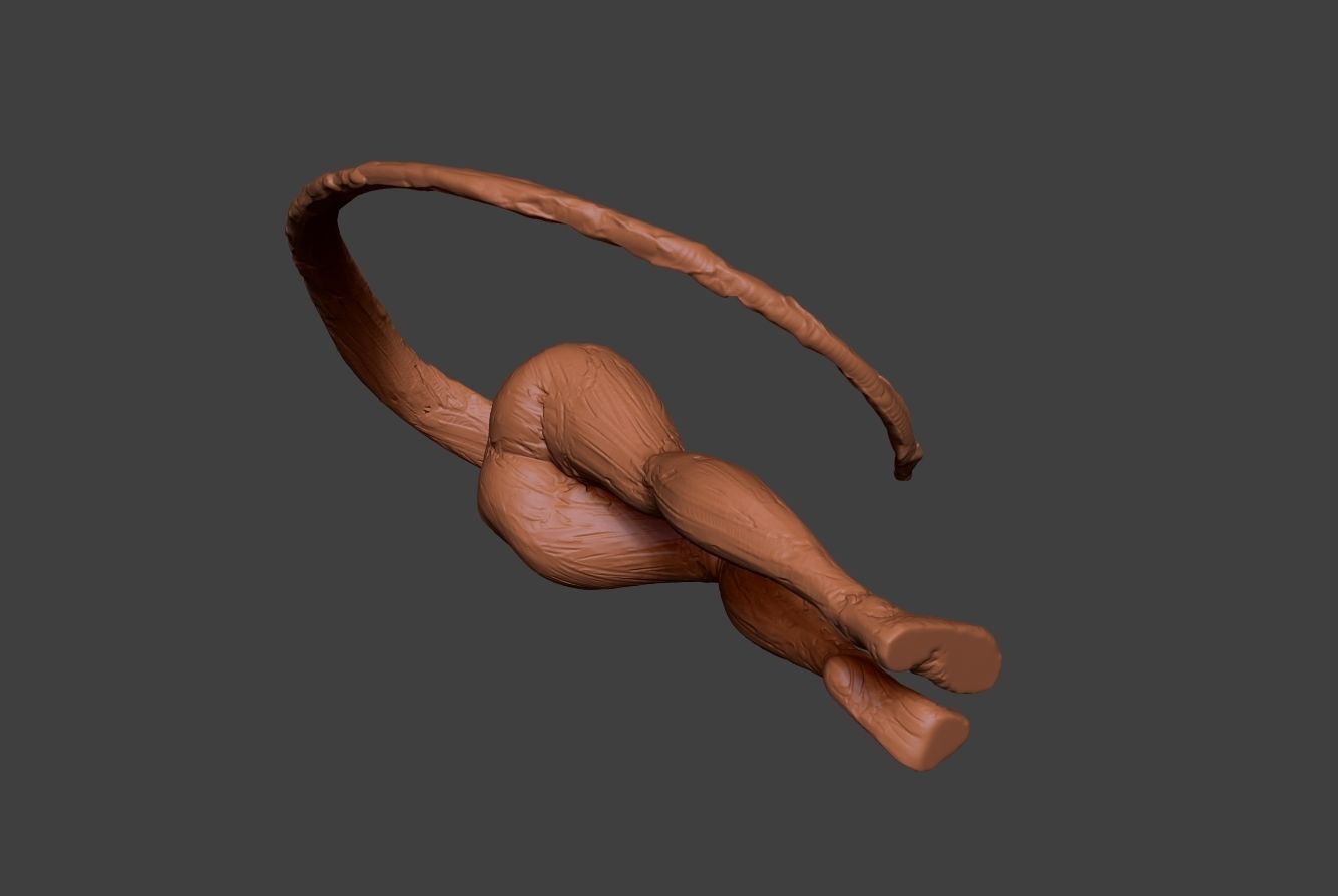 Clay Legs 3 3D print model_8