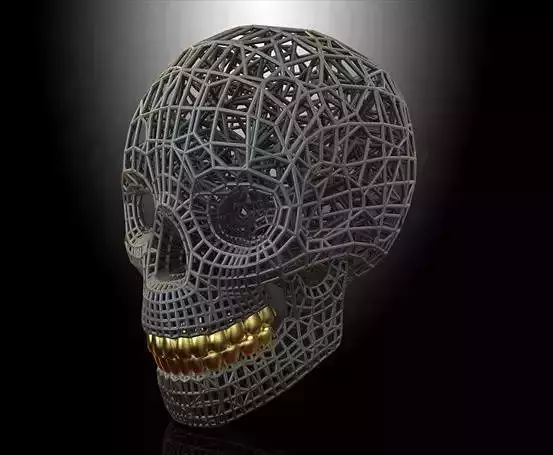 SKULL VORONOI
