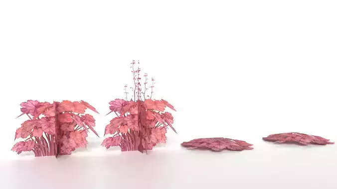 Low-poly Heuchera  Amber Lady