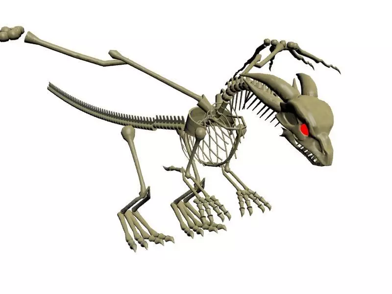 Skeleton Dragon Low-poly 3D model