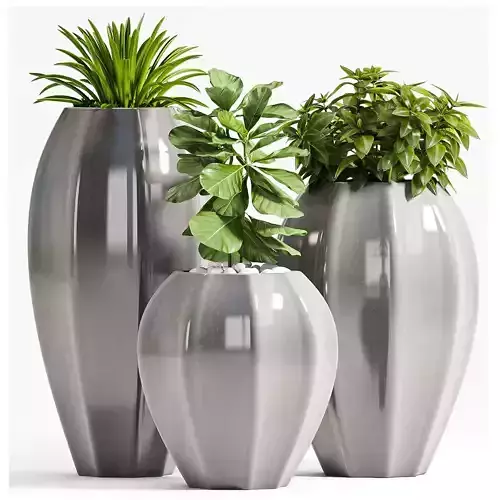 Decorative plant set-64