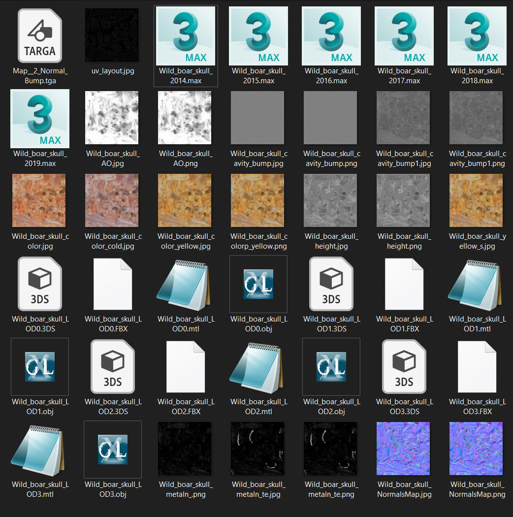 Wild Boar skull Low-poly 3D model_56