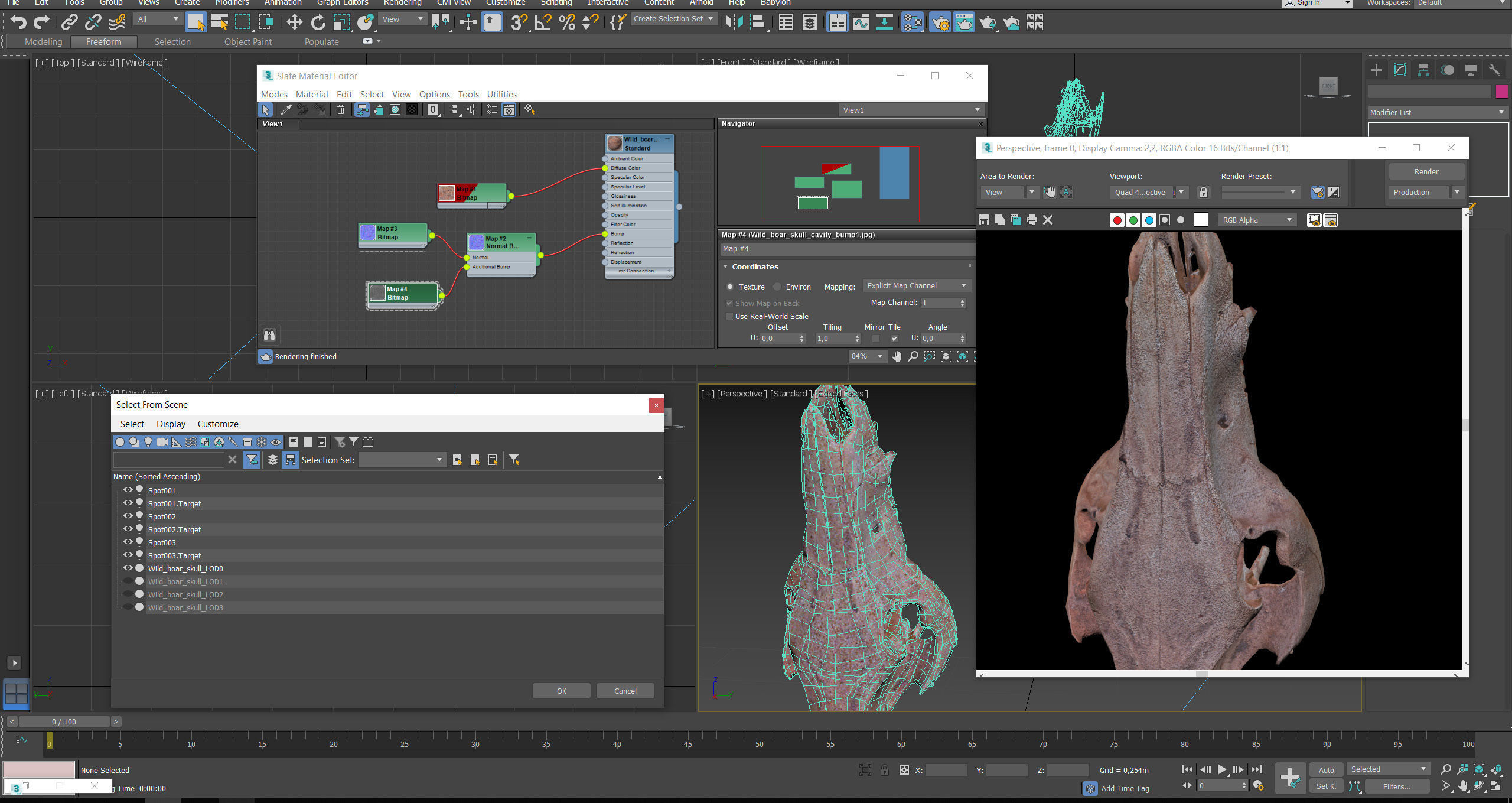 Wild Boar skull Low-poly 3D model_52