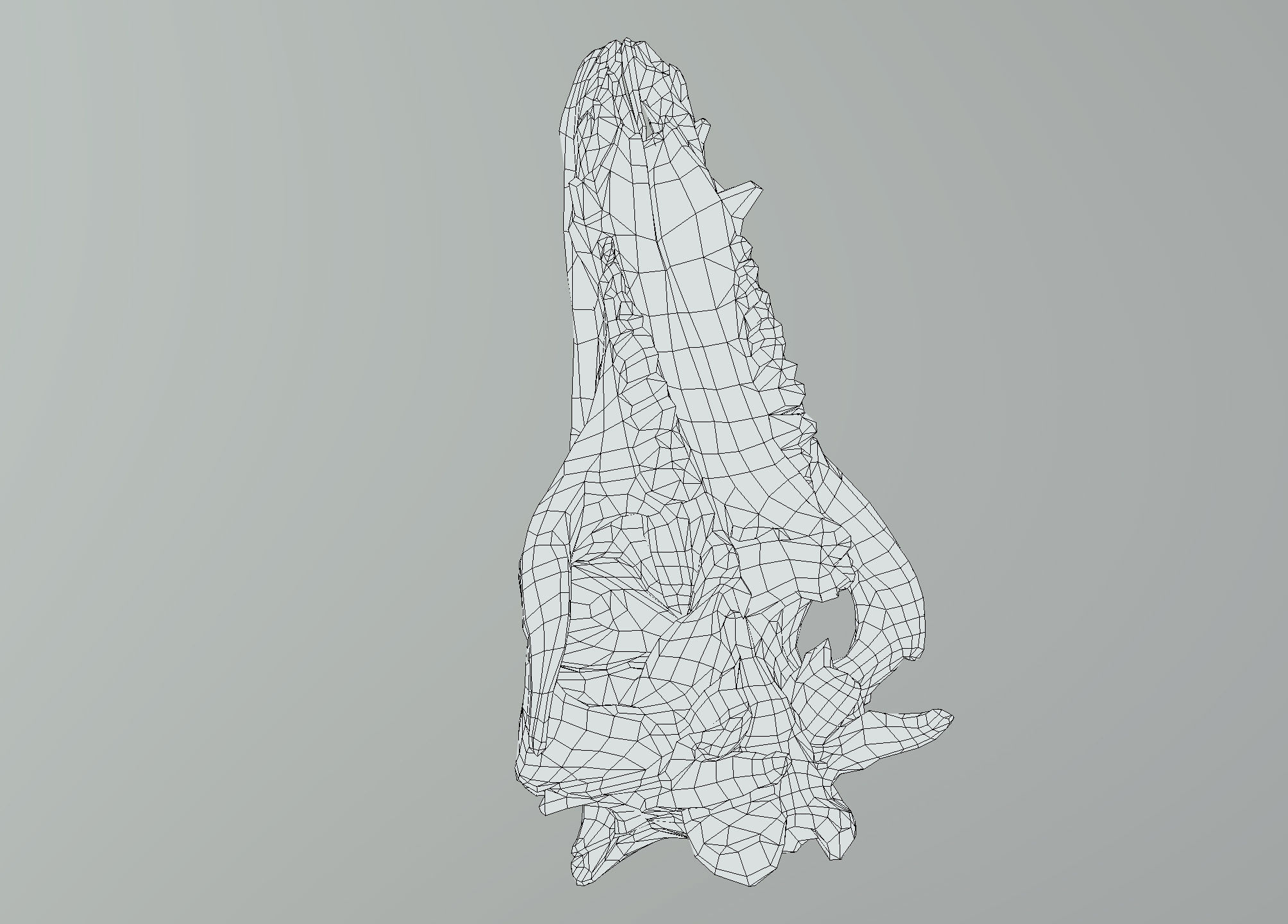 Wild Boar skull Low-poly 3D model_45