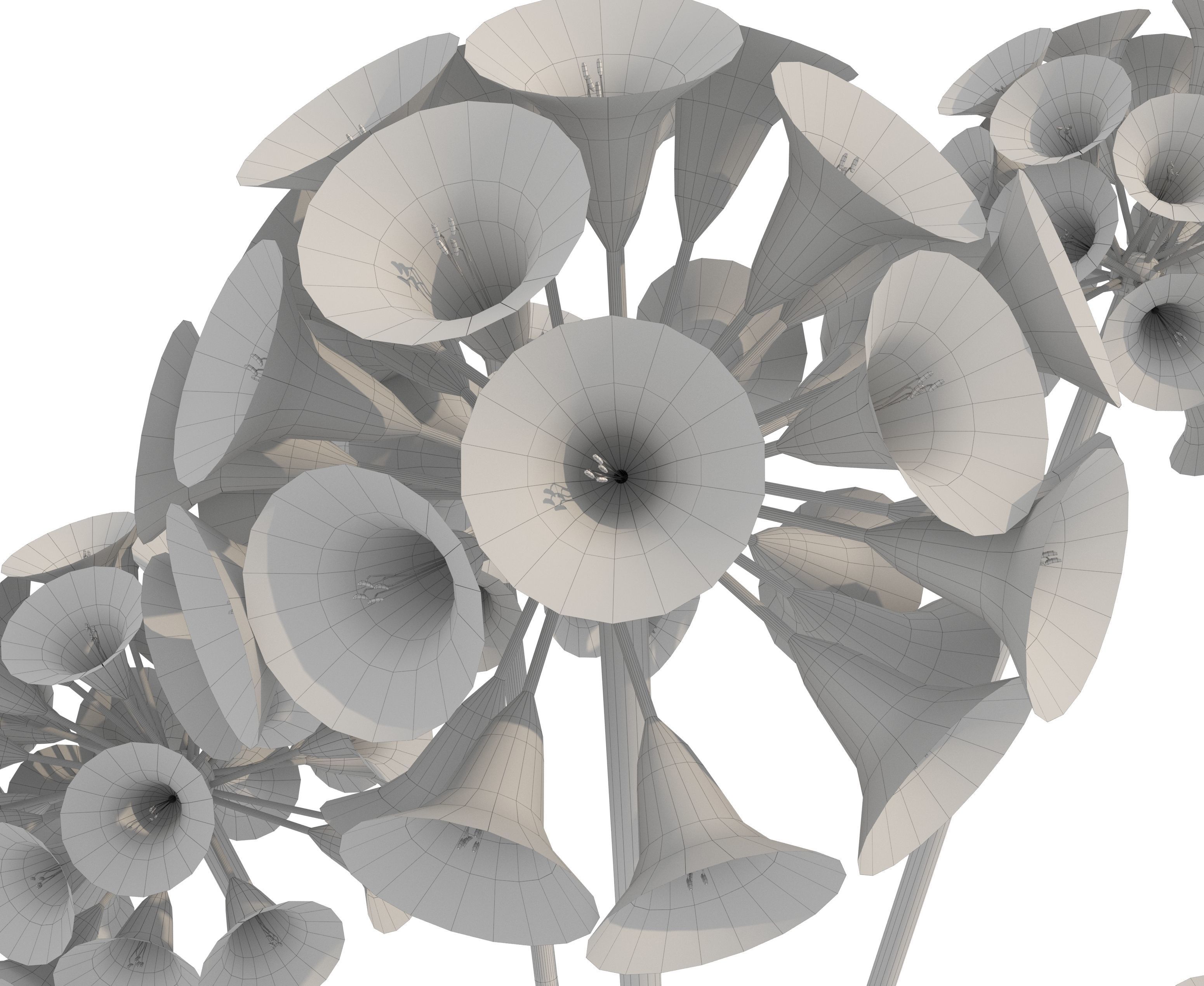 agapanthus africanus flower Low-poly 3D model_7