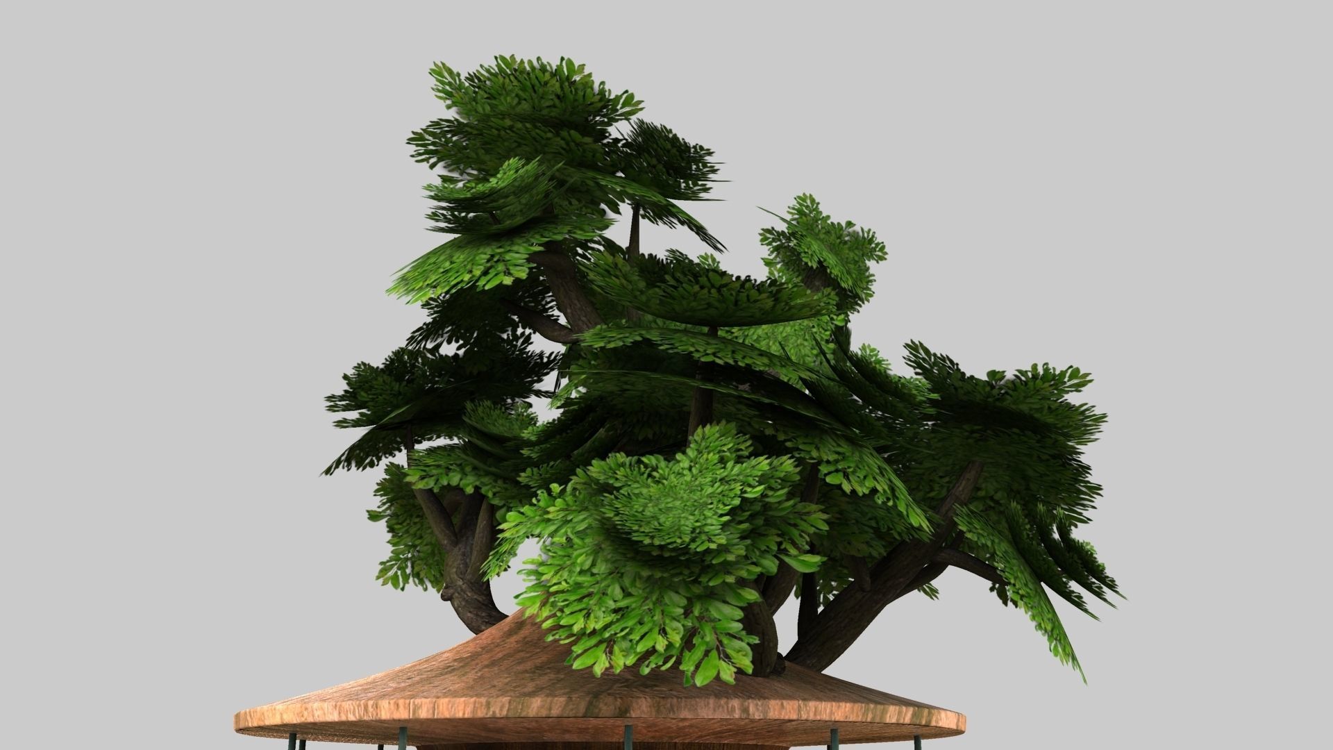 Tree House 3D model_9