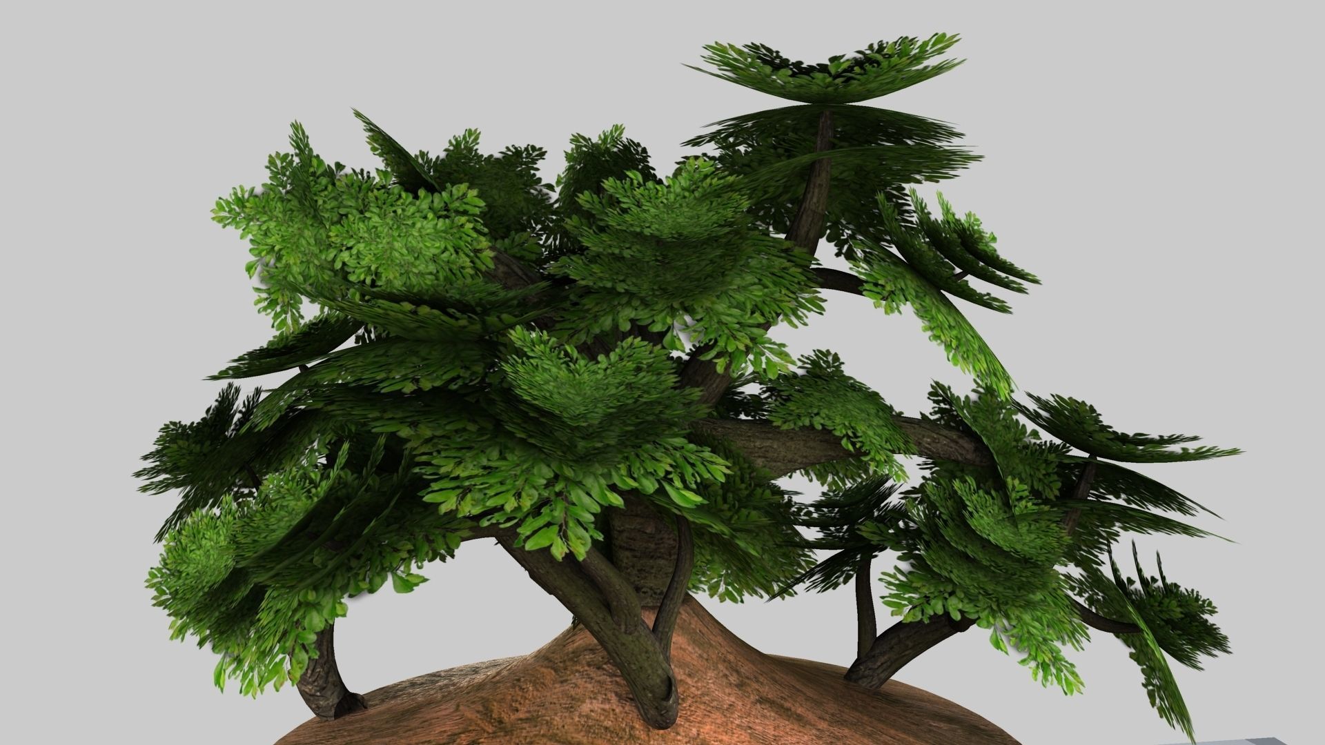 Tree House 3D model_11