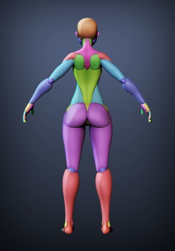 Stylized Female Blocking 3D model_3