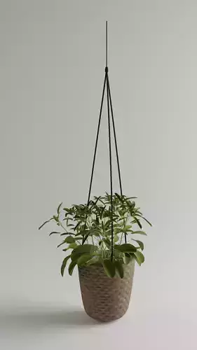 IKEA druvflader 3D model