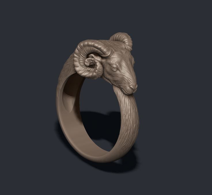 ram ring 3D print model_2
