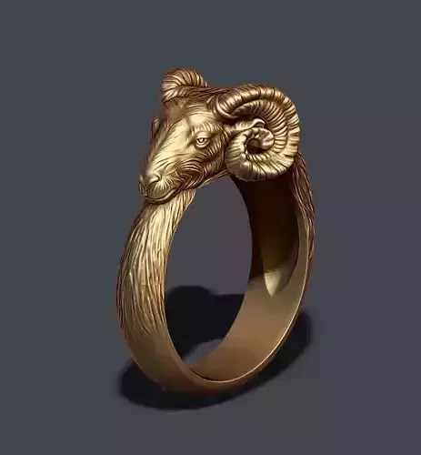 ram ring 3D print model
