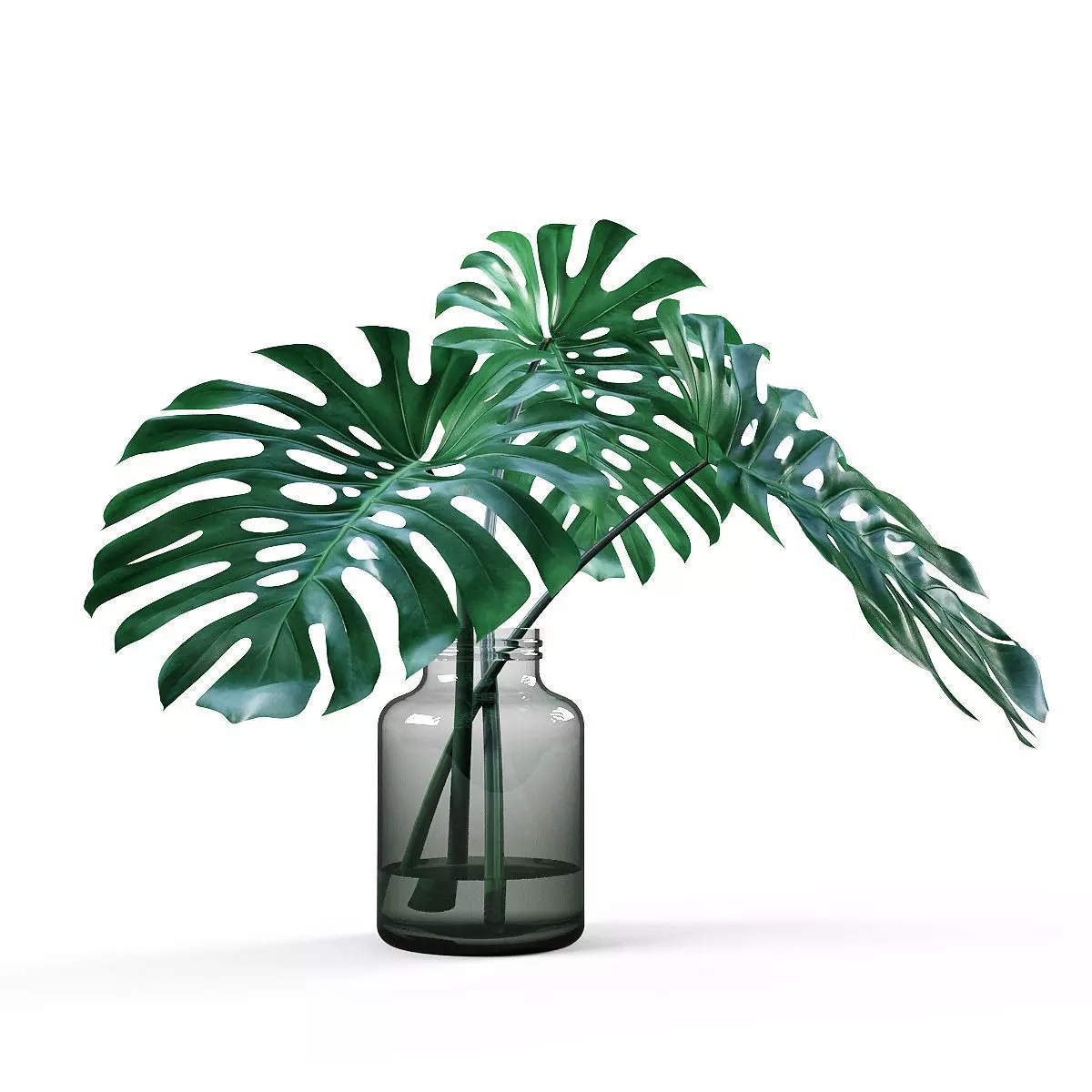 Monstera vase 3D model