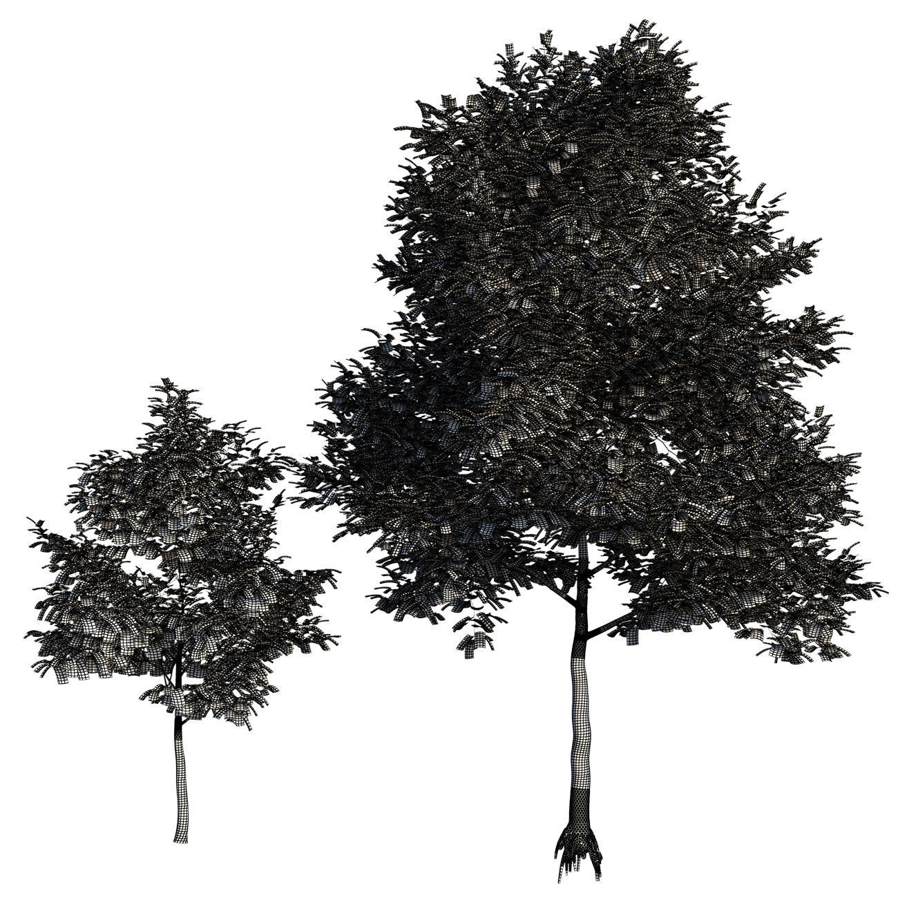 TULIP TREE 3 3D model_6