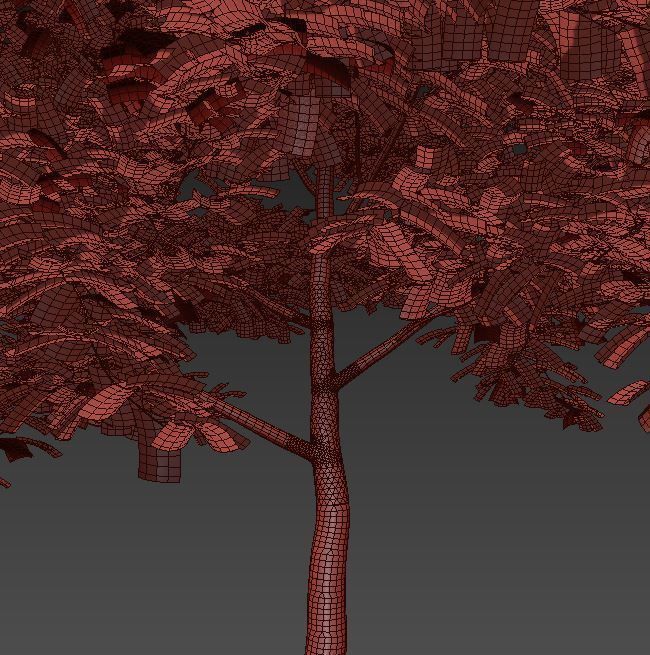 TULIP TREE 3 3D model_5