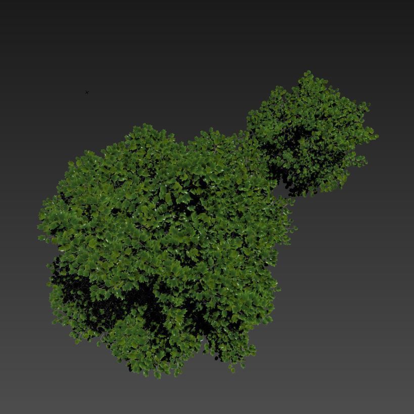 TULIP TREE 3 3D model_2