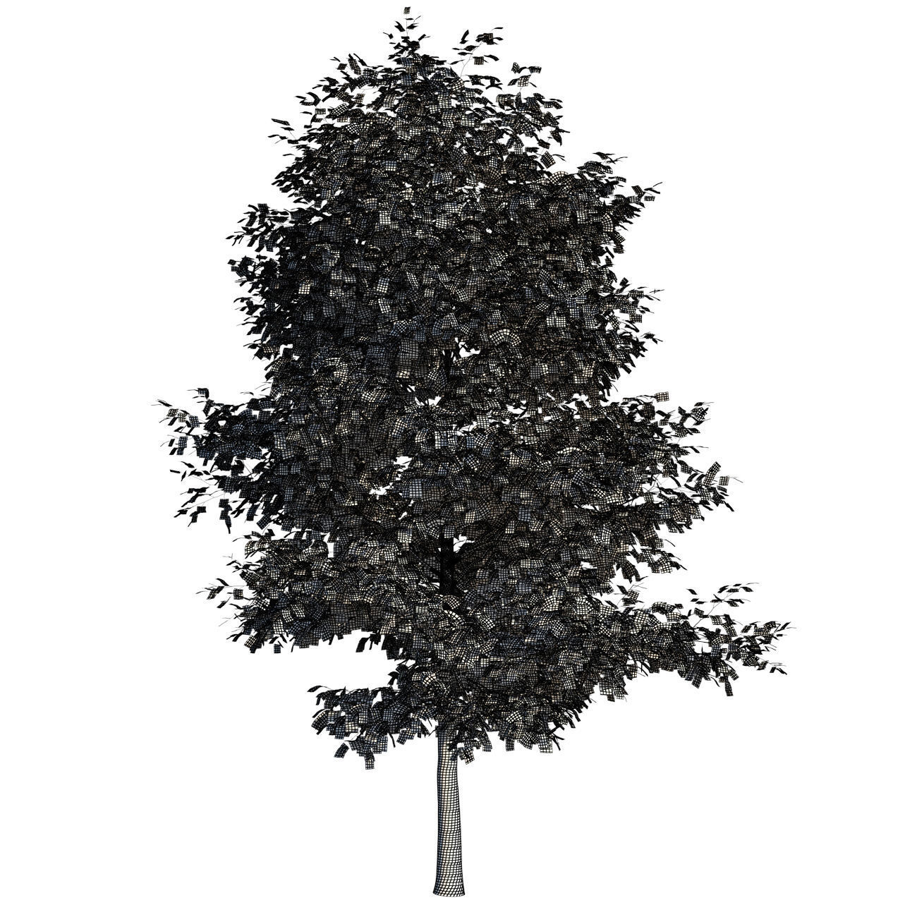 TULIP TREE 2 3D model_3