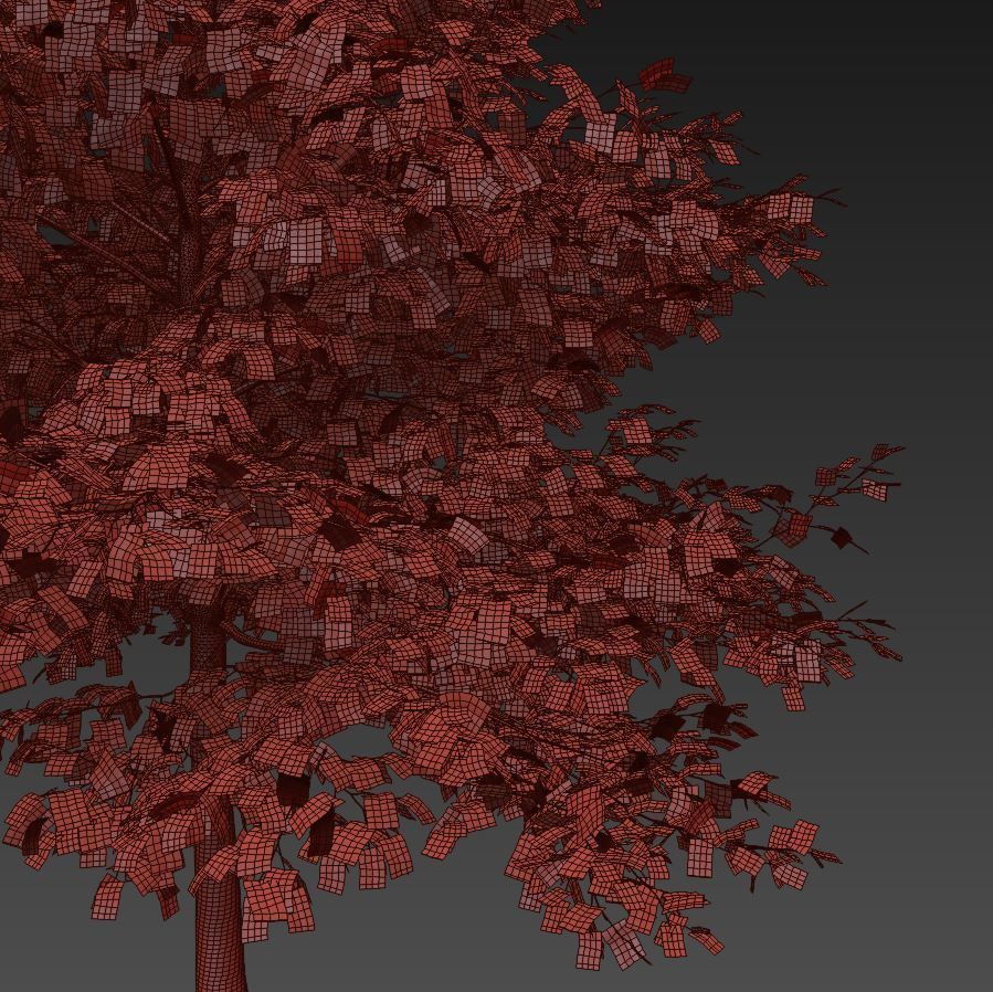 TULIP TREE 2 3D model_6