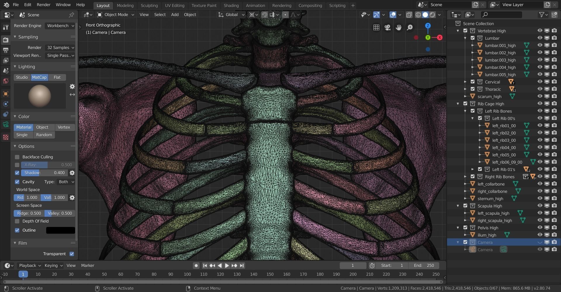 Human Skeletal Torso High Poly 3D model_26
