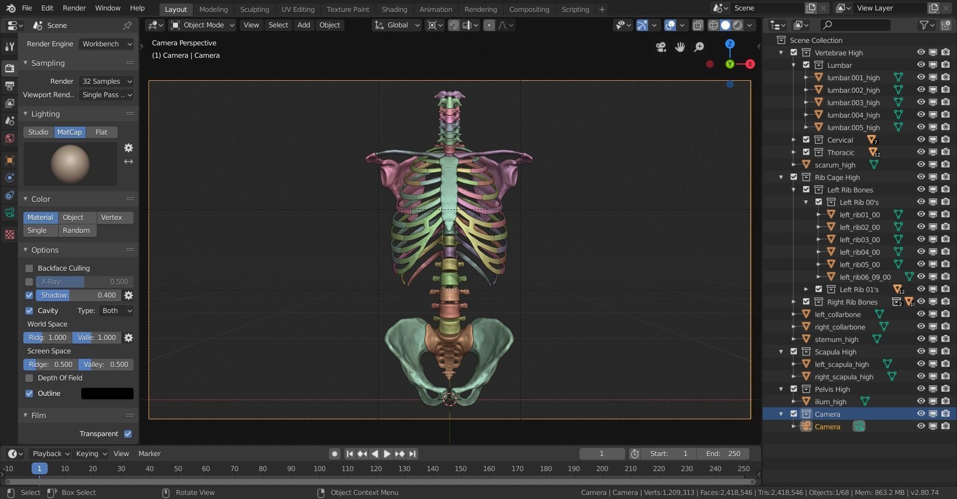 Human Skeletal Torso High Poly 3D model_24