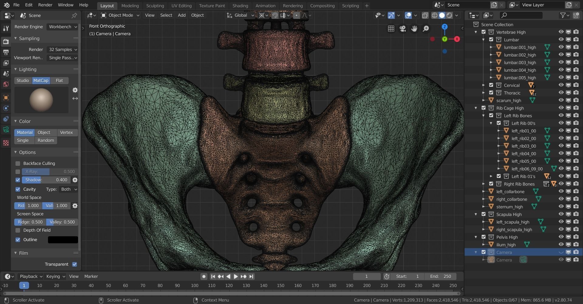 Human Skeletal Torso High Poly 3D model_25