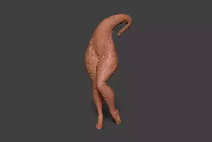 Clay Legs 6 3D print model