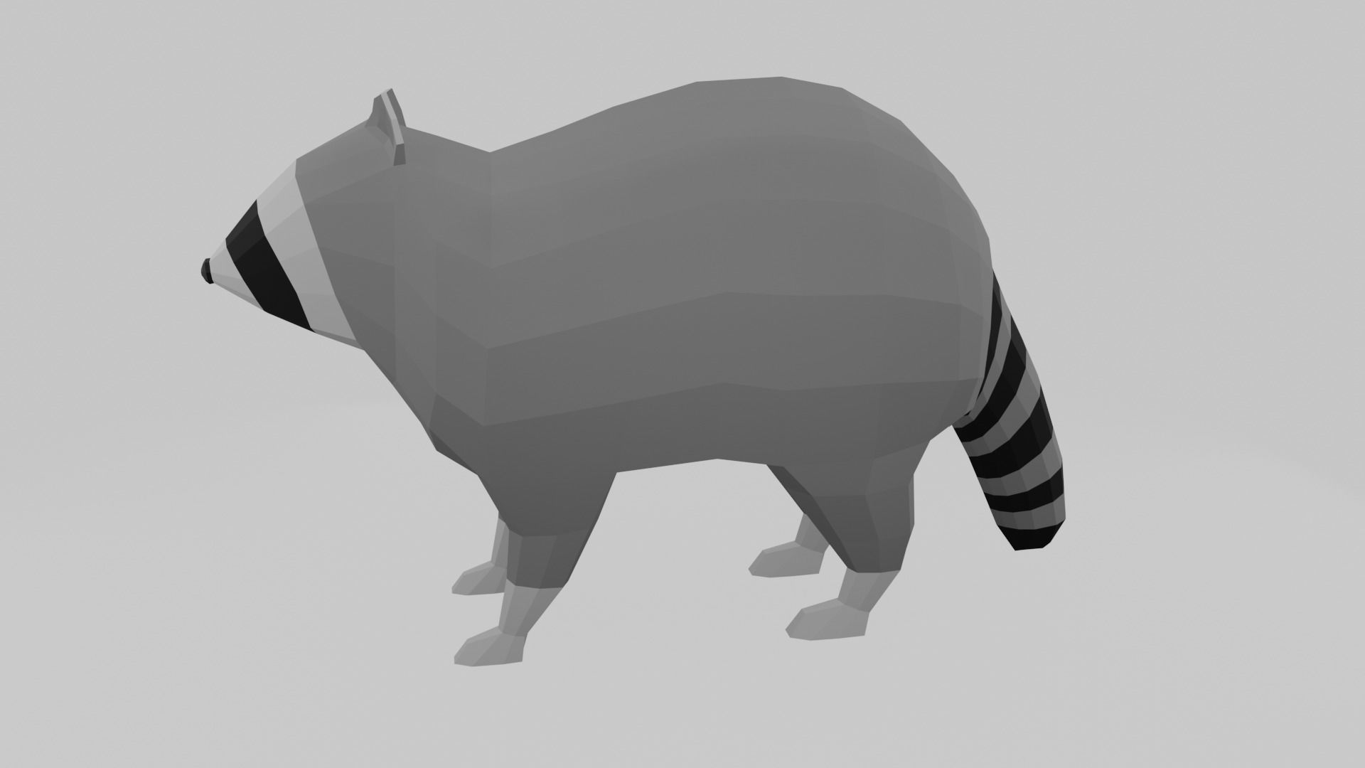 3D model Low Poly Raccoon VR / AR / low-poly | CGTrader