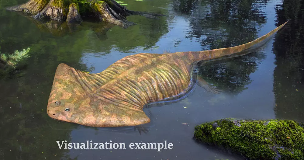 Diplocaulus magnicornis  3D model_0