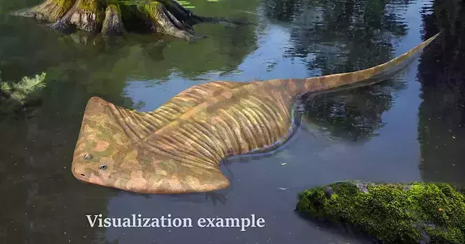 Diplocaulus magnicornis 