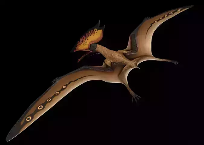 Thalassodromeus dinosaur flying Low-poly 3D model