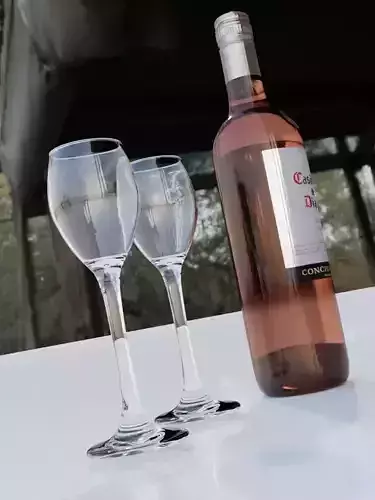 Bottle of Casillero del Diablo wine