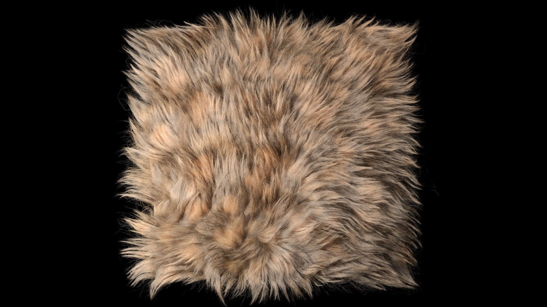 Fur Ornatrix Redshift 3dsmax maya 3D model_8