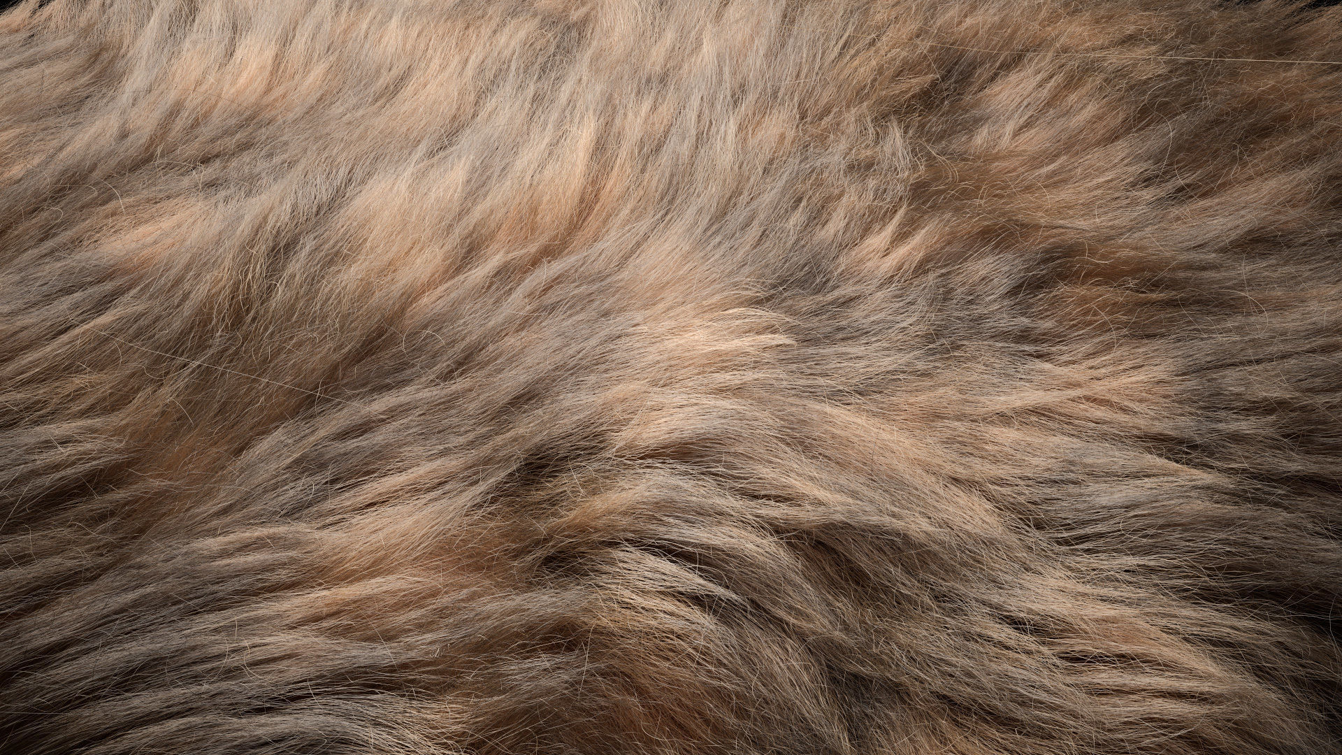 Fur Ornatrix Redshift 3dsmax maya 3D model_7