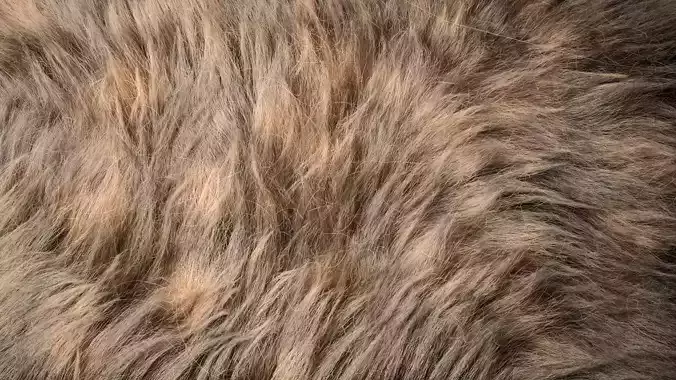 Fur Ornatrix Redshift 3dsmax maya 3D model