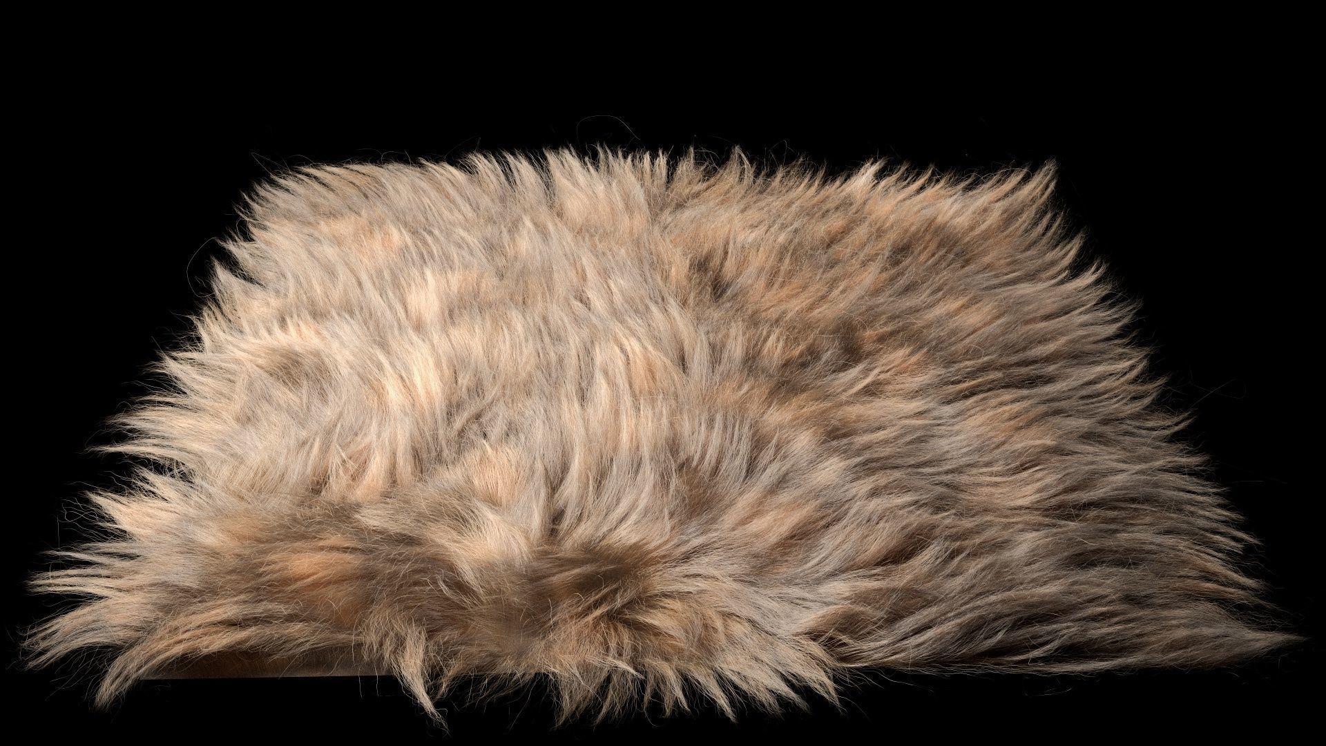 Fur Ornatrix Redshift 3dsmax maya 3D model_9
