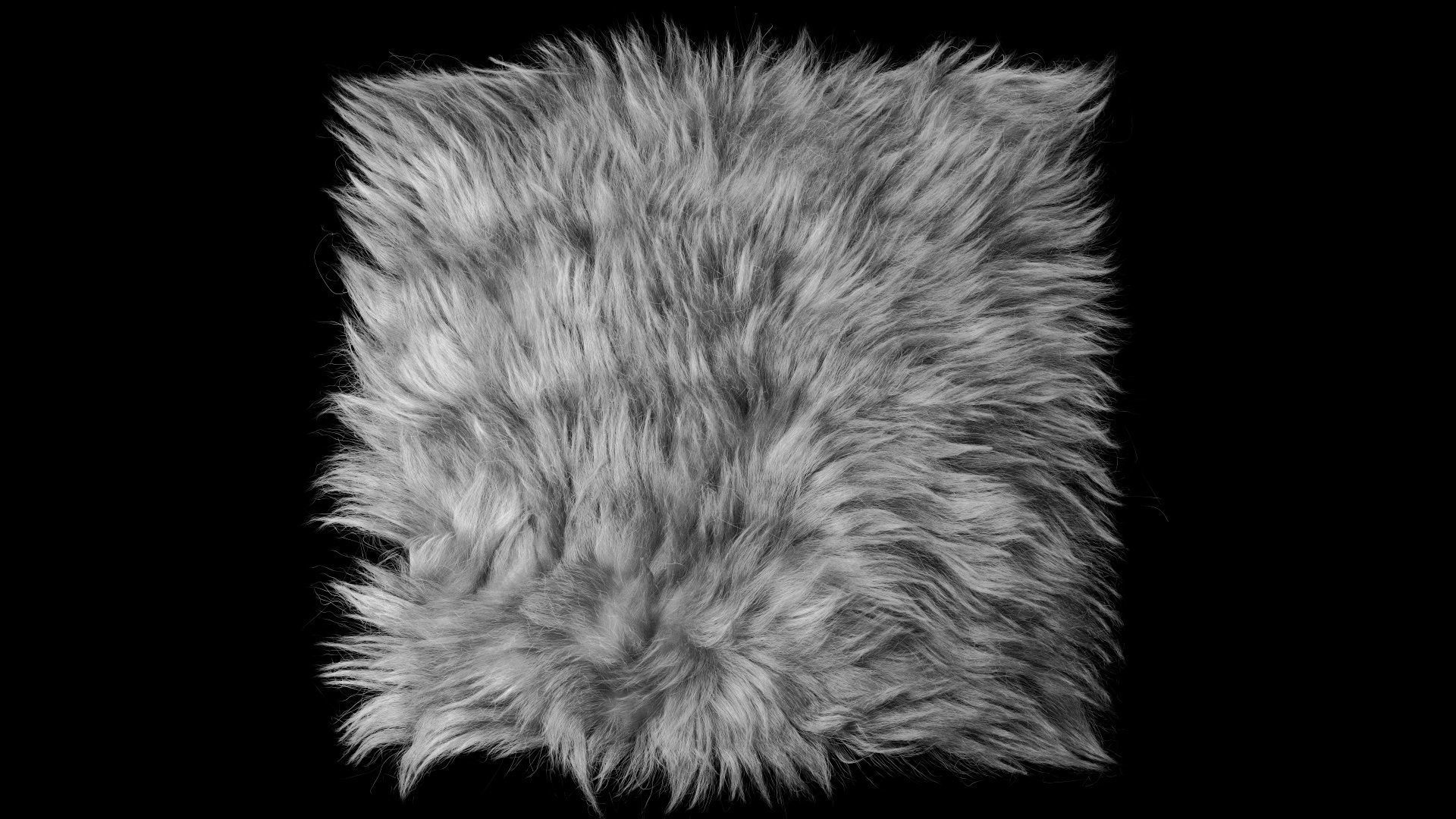 Fur Ornatrix Redshift 3dsmax maya 3D model_13