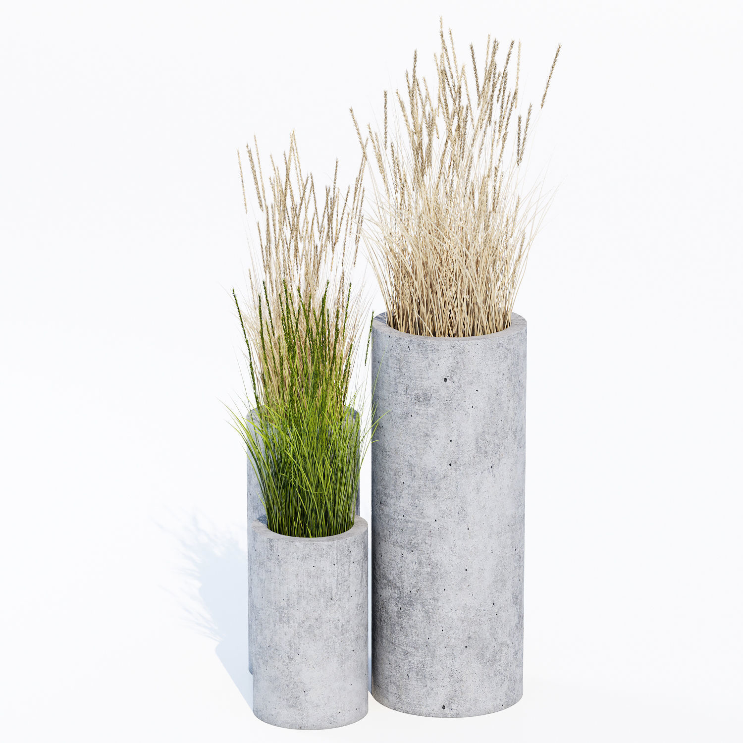 mone four 3D model_3